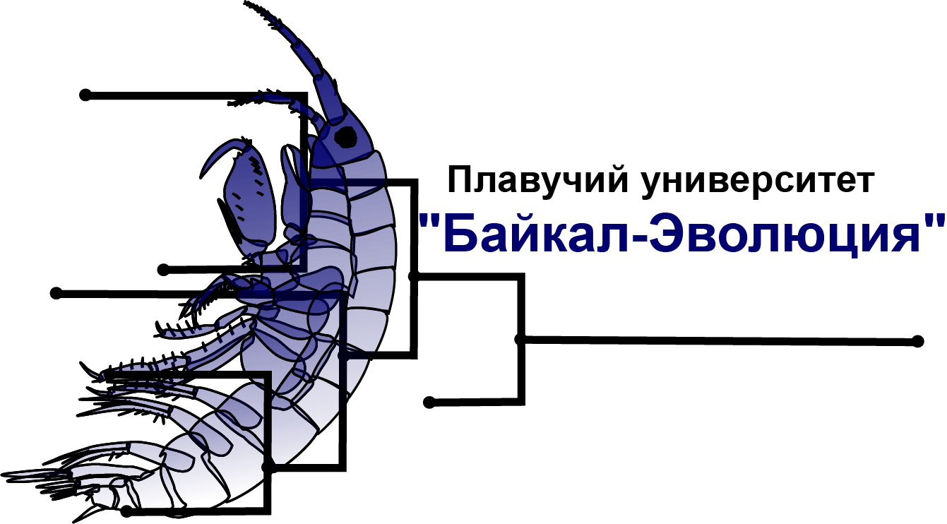 logo_smena_baikal