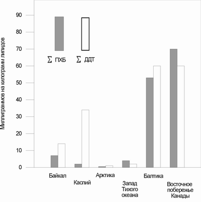  Содержание ПХБ и ДДТ в жире тюленей (по данным Kucklick et al. 1996).